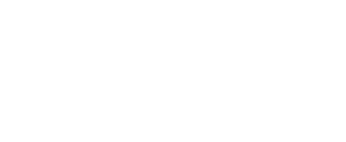 Boson Solutions